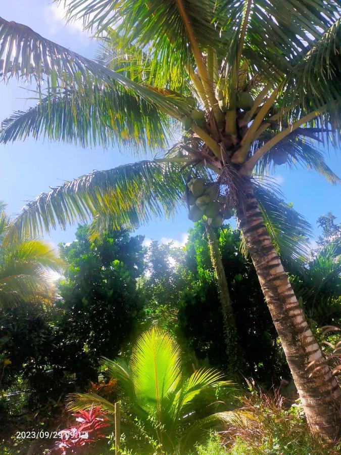 Douceur Des Hauteurs Bas De Villa, Piscine Privee Sainte-Luce Buitenkant foto